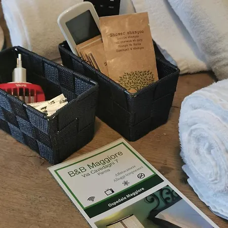 Ospedale Maggiore 招待所 *